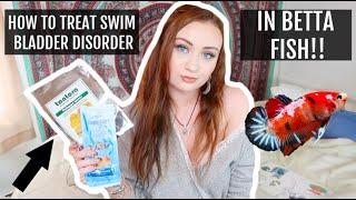 HOW TO TREAT SWIM BLADDER DISORDER IN BETTA FISH!! | THE EASIEST WAY! | ItsAnnaLouise