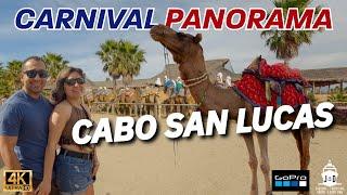 Carnival Panorama Cruise | Riding Camels | Cabo San Lucas