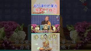 如何讓你的業力, 從此傷害不了自己 | 淨界法師 #佛教 #佛法 #阿彌陀佛 #正能量