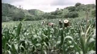 Nicaragua - A nation's right to survive