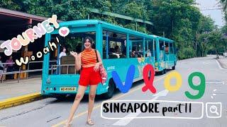 දවසම ගෙදර නෑ‍️ |එයත් එක්ක Singapore - Universal Studios  | Mango Sticky Rice | Dilushi Hansika