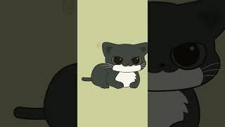 maxwell the cat [MEME]