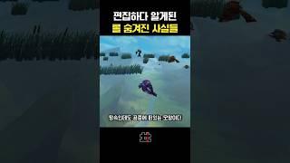 편집하다 알게된 롤 숨겨진 사실들 ㄷㄷ