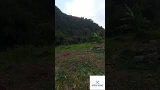 how to fly drone #drone #f450_frame #apm