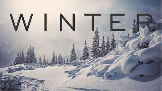 Winter Season Nature Relaxation with Beautiful Instrumental Background Music