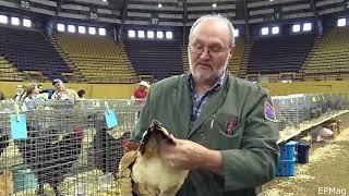 APA Judge Tom Carey Selecting The Continental Class Champion (HD720p)