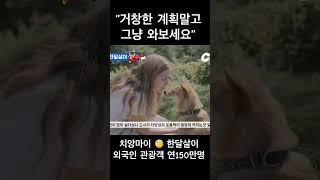 거창한 계획말고 그냥 치앙마이 #아무튼출국 #치앙마이 #한달살이