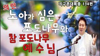BOJ 지구촌 대특종 제134편. (1부) 의인 노아가 심은 포도나무와 참 포도나무 예수님