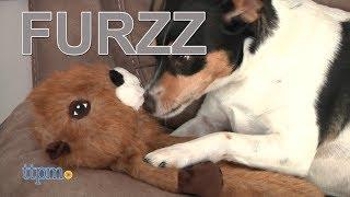 Furzz Fox Dog Toy, Small & Furzz Beaver Dog Toy, Large from Ethical Products