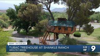 Tubac Treehouse new addition to Historic Shankle Ranch