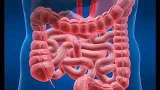 SÍNDROME DE COLON IRRITABLE COLITIS CRÓNICA CAUSAS SÍNTOMAS TRATAMIENTO DATOS CLÍNICOS