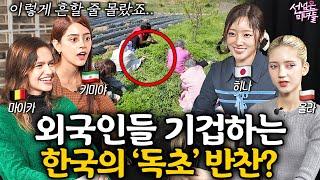 전 세계에서 오직 한국인만 쌓아놓고 먹는다는 것들ㅣ선넘은 미녀들 EP 5