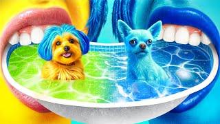 We Build a Waterpark for Pets! Inside Out 2 in Real Life!