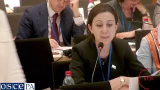 Maria Karapetyan - 3rd Committee - Luxembourg Annual Session 2019