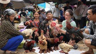 First time introducing strange big-footed chicken breed to the market, Vàng Hoa