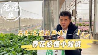 【养花必懂小知识】花养S了土还能用吗？大棚是如何处理旧土的？Tips and tracks for soil reusing.