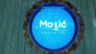 Океанариум Magic Aquarium в Ташкенте — Toshkentdagi Oceanarium Magic Akvariumi