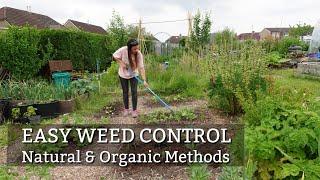 Chemical Free Weed Control |  3 Natural & Organic Methods