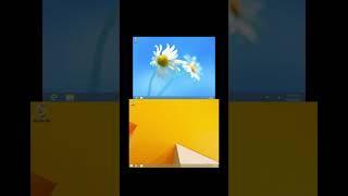Evolution of Windows Notify Email Sounds