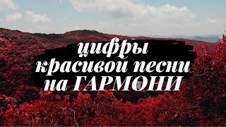 Цифры Красивой песни на гармони "Про любимый край" (Вам дарю эту песню) [РАЗБОР]