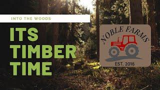 Into the Woods: Cutting Logs Like It's Timber Time! 🪓