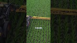 Darren explains how to maximize nitrogen efficiency in corn by doing split application. #agriculture