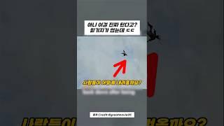어? 10억 줘도 안 타는 현실판 앵그리버드