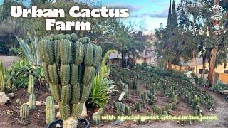 Urban cactus farm tour: The Cactus Jones #Trichocereus