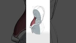 Mistake When Drawing Torso - Quick Art Tips #art #sketch #shorts #tutorial #drawingtutorial #anime