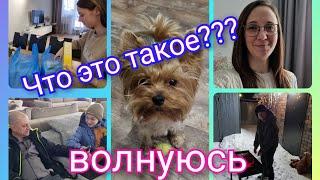 Из Германии в Россию/ Очень волнуюсь/ Что это такое?/ Рекомендация/ Тюмень/ Наша жизнь в России/Влог