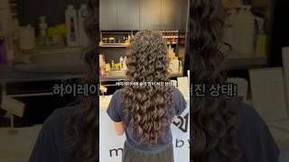 히피펌을 성공하는 세가지 필수체크요소!! #히피펌