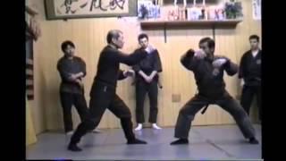 Soke Masaaki Hatsumi and Hard Training