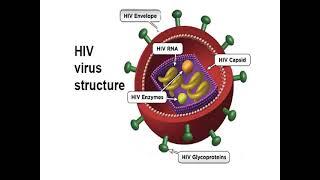 viral STDS Dr /Hala