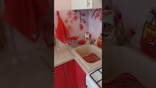 Отзыв кухни Гармония на Бухарестской 33. Кухня на заказ в СПб от производителя.