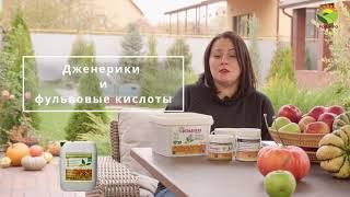 Дженерики и фульвовые кислоты