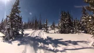 Snowmobiling HITS TREE CRASH gets thrown from snowmobile in BrianHead Utah