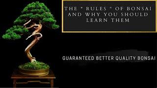 The Rules Of Bonsai. SPOILER ALERT, THEY AREN’T REALLY RULES