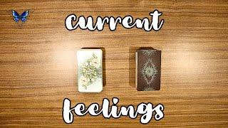 ️‍️‍🩹 WHAT ARE THEIR CURRENT FEELINGS ABOUT YOU?  Timeless Tarot Reading 