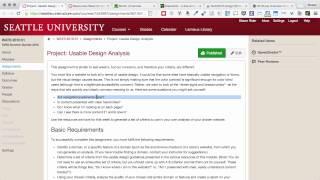 WATS4010: Usable Design Analysis Project