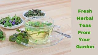 How to Make Fresh Herbal Teas from Your Medicinal Herb Garden