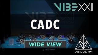 CADC | VIBE XXII 2017 [@VIBRVNCY 4K] #vibedancecomp