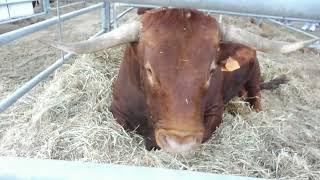 Feira Nacional da Agricultura 2023