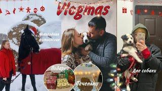 VLOGMAS 2: две собаки, новогодняя ярмарка, семейная фотосессия, упаковка подарков 