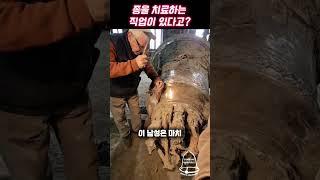 수백년 된 거대한 종을 망치로 치료하는 86세 할아버지의 정체