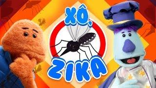 XÔ ZIKA! COMO PREVENIR DENGUE, ZIKA E CHIKUNGUNYA #Ticolicos