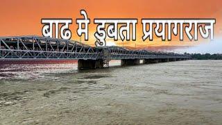 Prayagraj Ganga Yamuna Flood 2024 गंगा यमुना दोनो खतरे के बिंदु से उपर बहती हुई #prayagrajflood