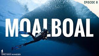 MOALBOAL, CEBU and its UNDERWATER WONDERS (Travel Video) | One Man Wander