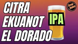 Citra, Ekuanot and El Dorado IPA - IPA Recipe and Tasting Notes