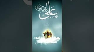 #علي بن ابي طالب رضوان الله عليه #القول السديد
