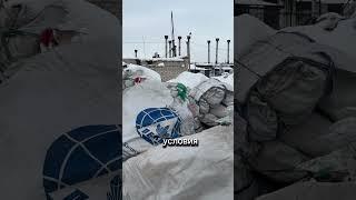 3 февраля 2025 г.
